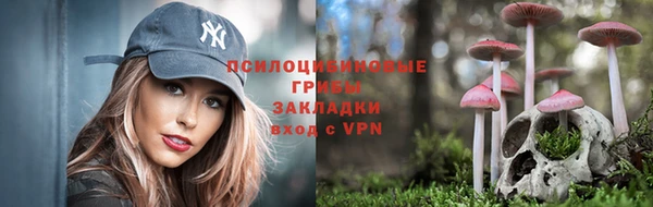 прущие крисы Абинск