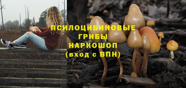 прущие крисы Абинск